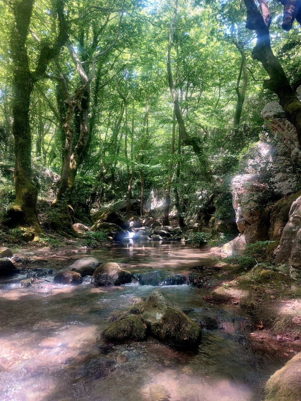 Φαράγγι Στροπώνων και βουτιά στη παραλία Χιλιαδού&nbsp;17/08