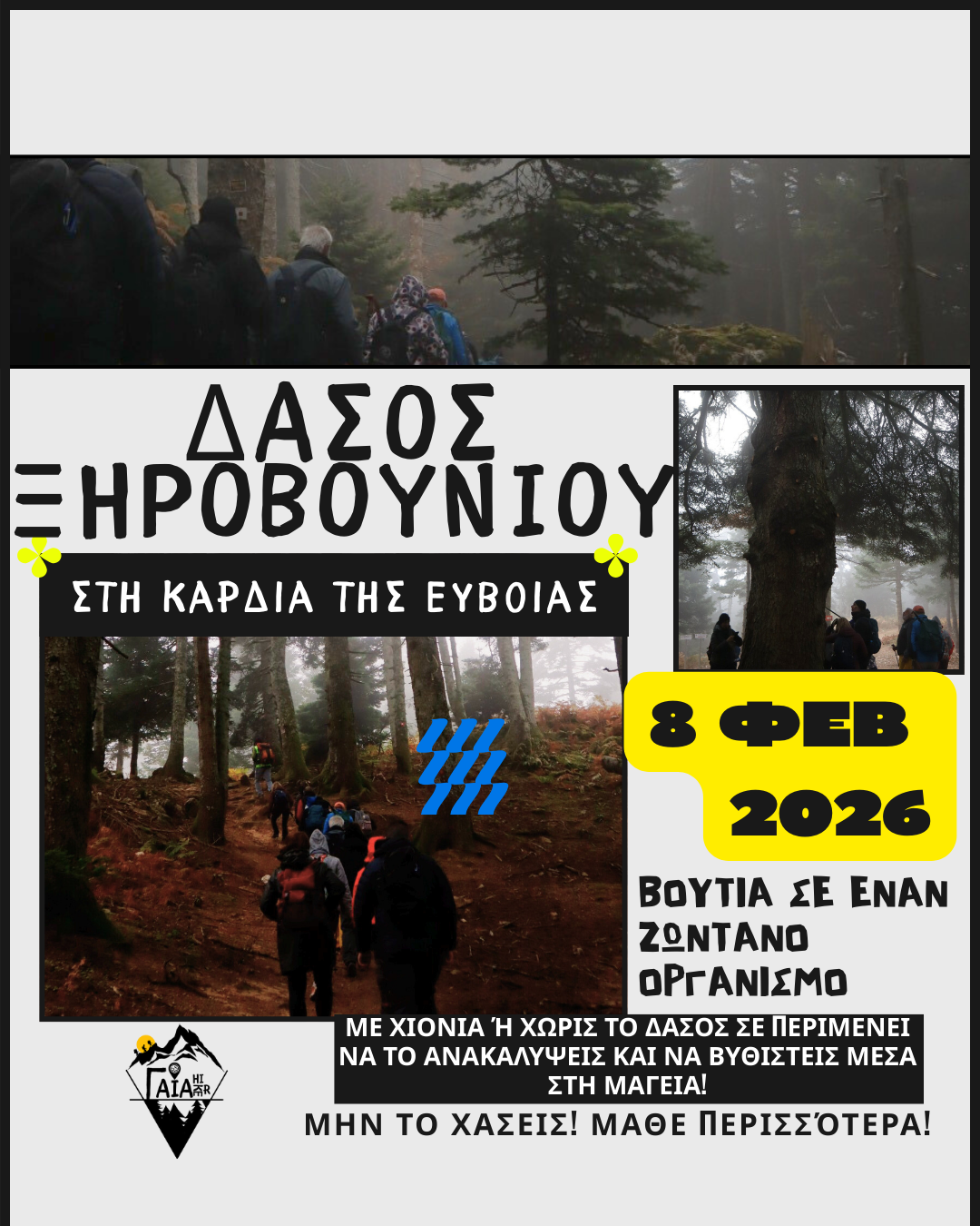 ΔΑΣΟΣ ΞΗΡΟΒΟΥΝΙΟΥ _ Στη καρδιά της Εύβοιας