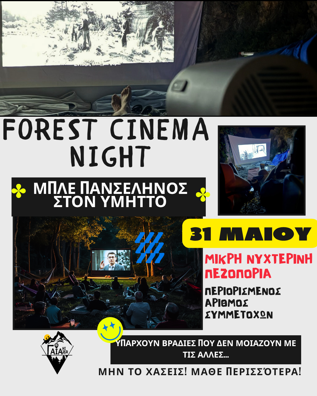 Forest Cinema Night